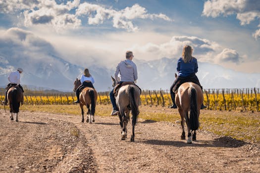 Discover Vineyard Bliss at Castello di Ama, Gaiole in Chianti