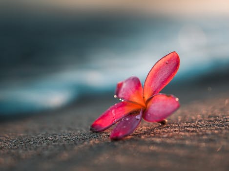 Escape Into Hawaiian Calm at Aston Islander on the Beach, Kauai